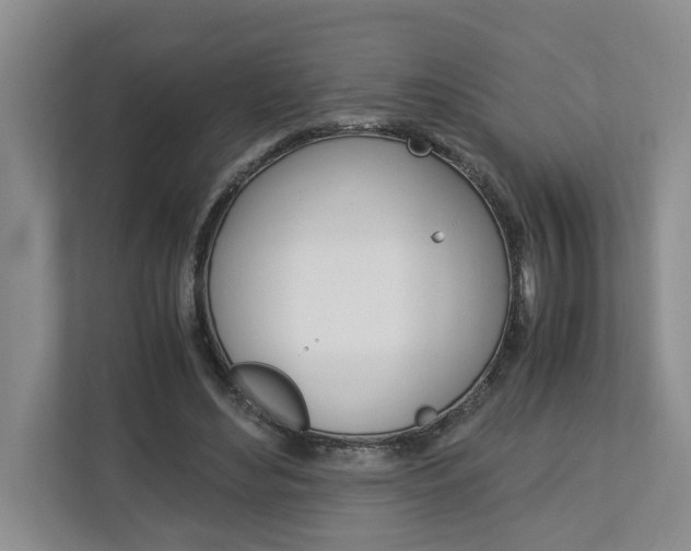 X0000113040492200908271037