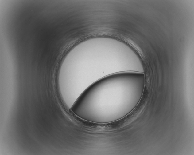 X0000113040493200908271037