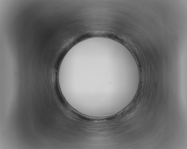 X0000113040495200908271037
