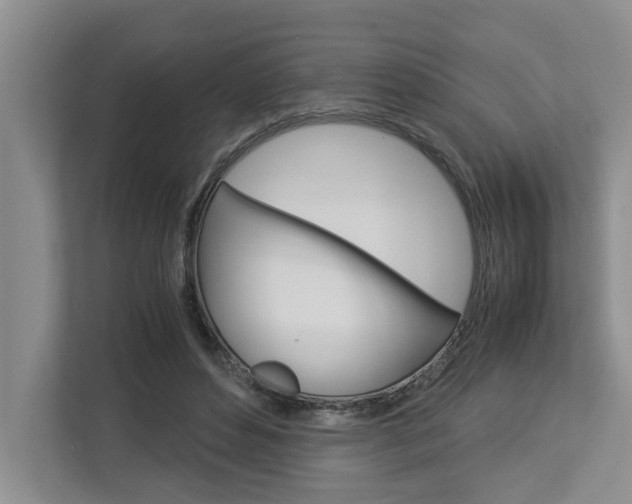 X0000113040496200908271037
