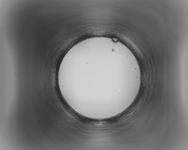 X0000113040497200908271037