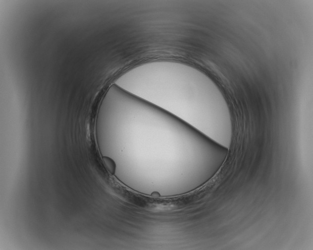 X0000113040500200908271037