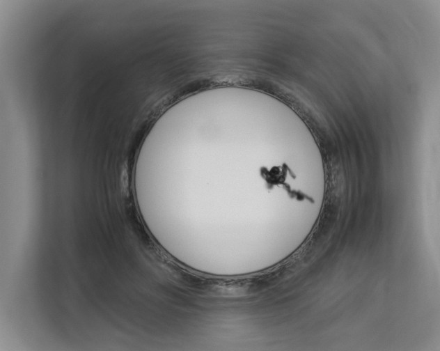 X0000113040502200908271037