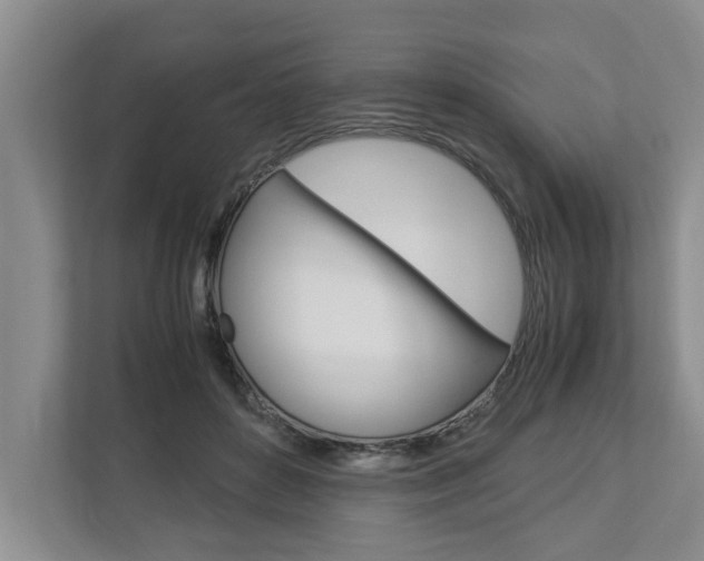 X0000113040504200908271037