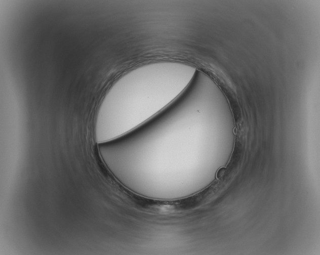 X0000113040509200908271037