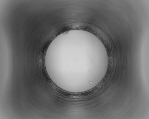 X0000113040510200908271037