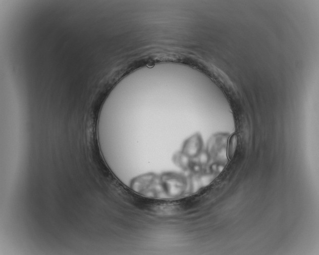 X0000113040513200908271037