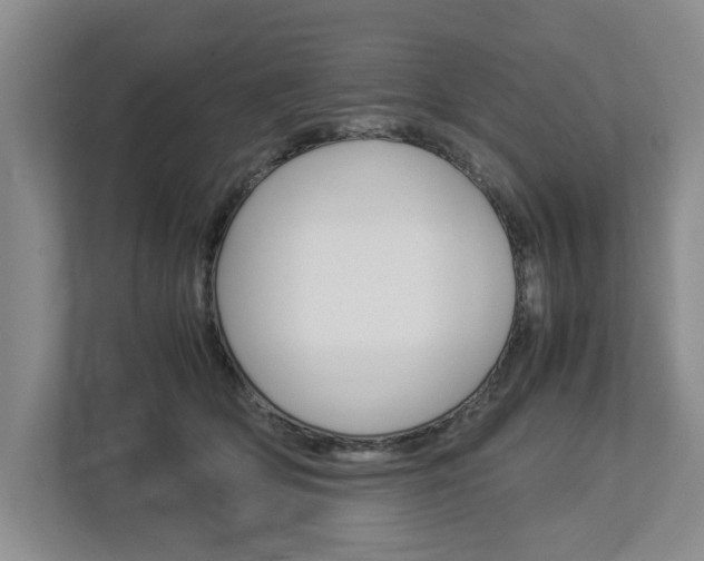 X0000113040514200908271037