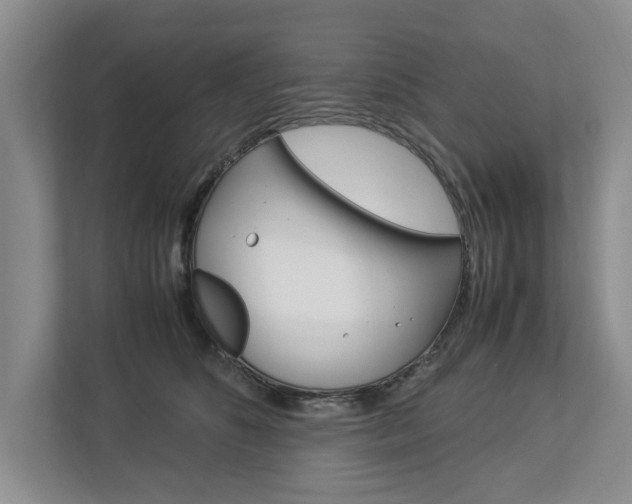 X0000113040516200908271037