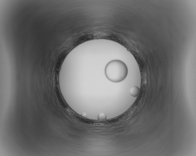 X0000113040519200908271037