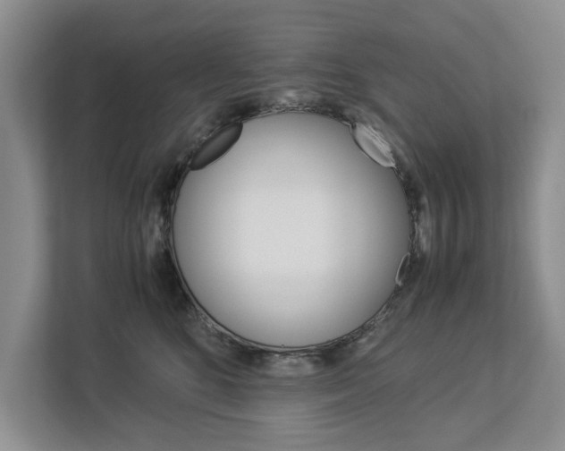 X0000113040520200908271037