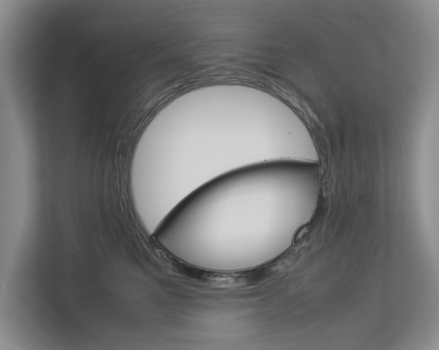 X0000113040521200908271037