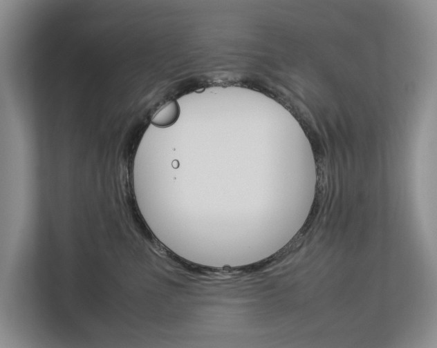 X0000113040523200908271037