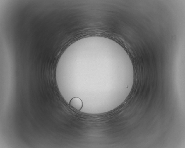 X0000113040524200908271037