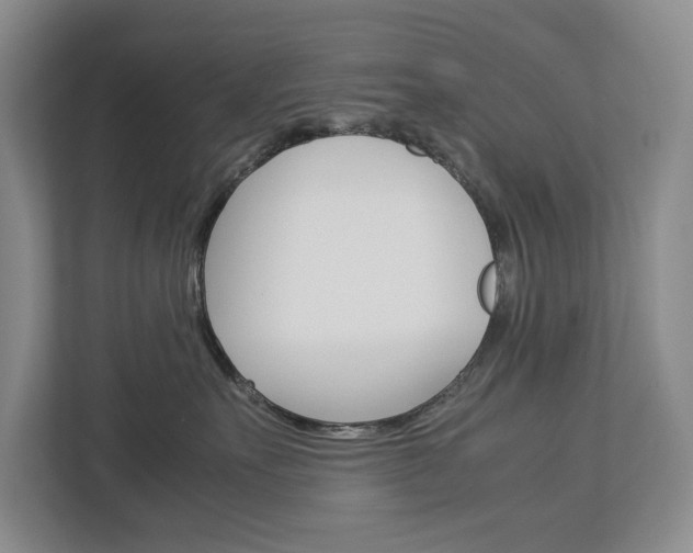 X0000113040527200908271037