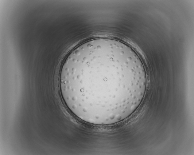 X0000113040529200908271036