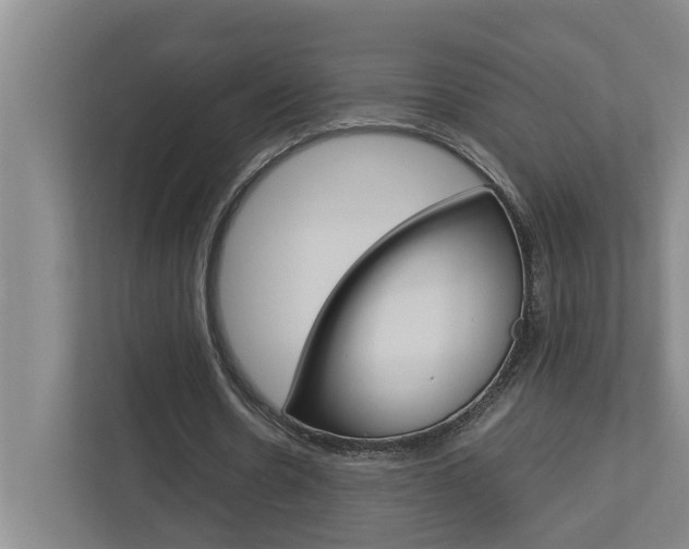 X0000113040530200908271036