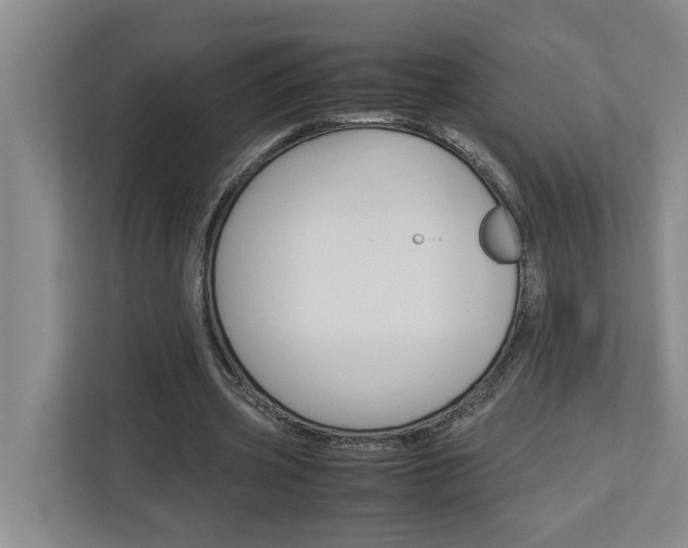 X0000113040533200908271036