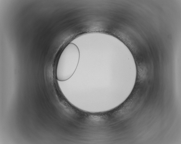 X0000113040534200908271036