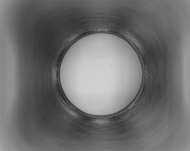 X0000113040537200908271036