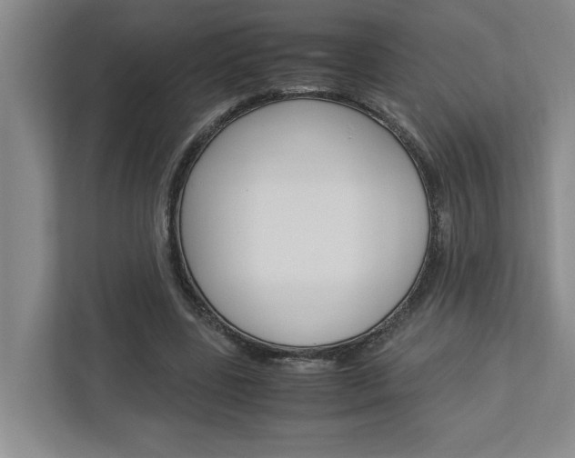 X0000113040539200908271036