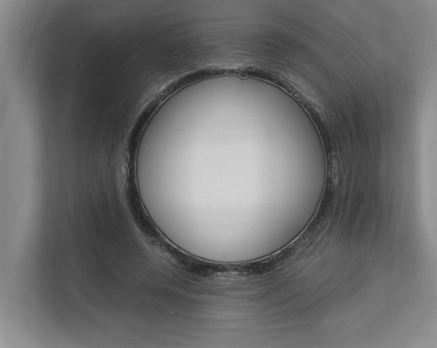 X0000113040544200908271036