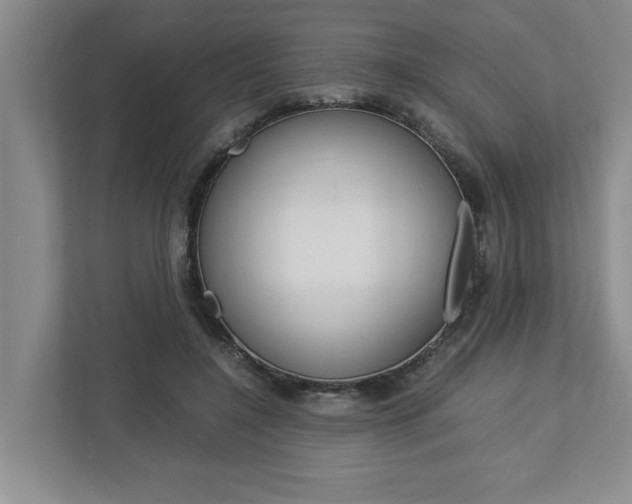X0000113040548200908271036
