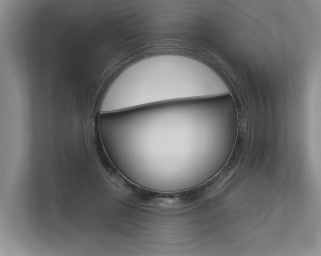 X0000113040552200908271037