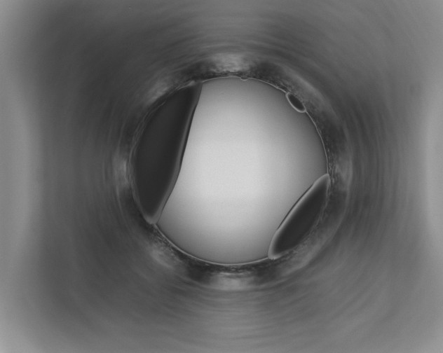 X0000113040556200908271037