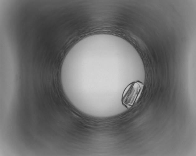 X0000113040558200908271037