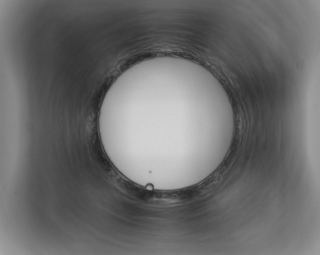 X0000113040559200908271037