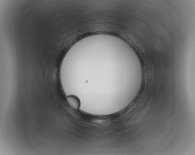 X0000113040563200908271037