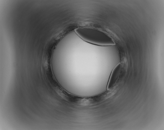 X0000113040566200908271037