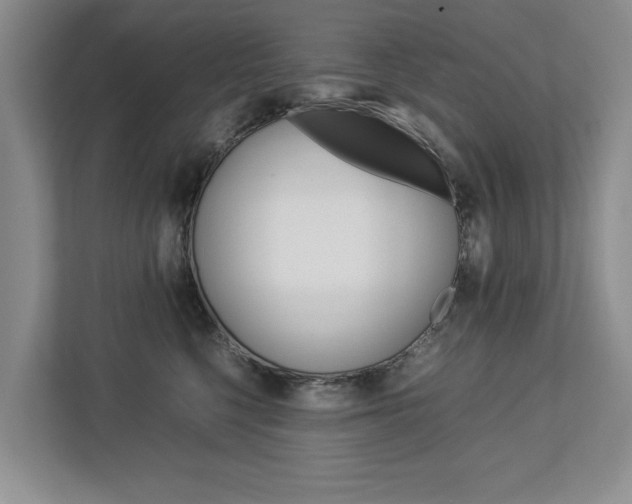 X0000113040568200908271037