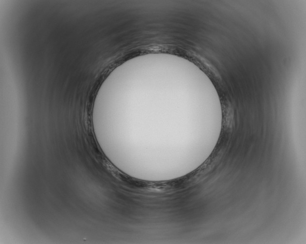 X0000113040569200908271037