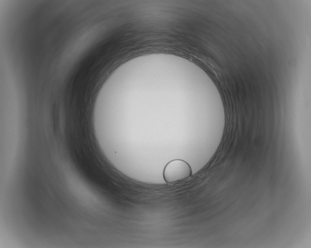 X0000113040572200908271037