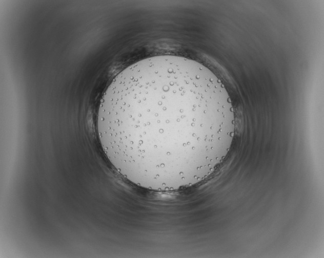 X0000113040573200908271037