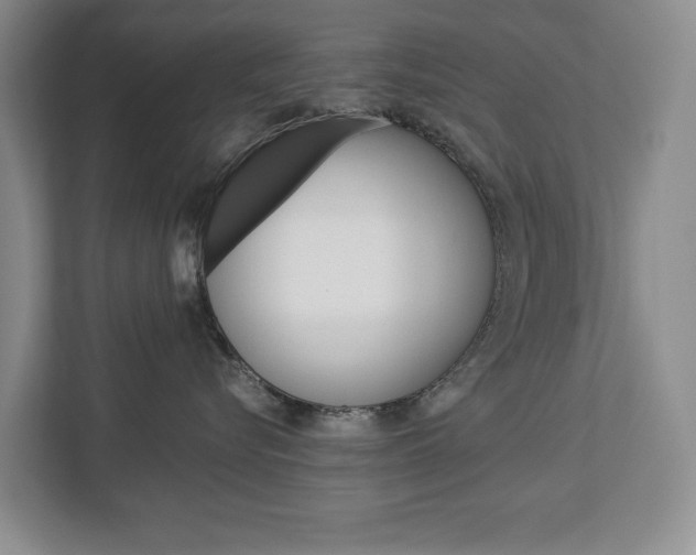 X0000113040576200908271037