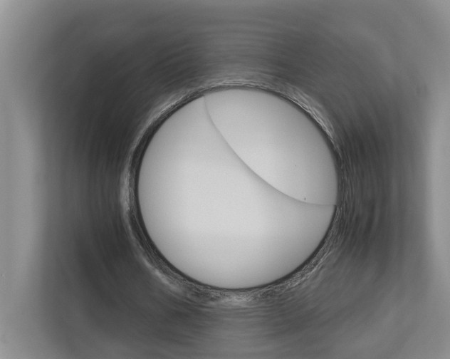 X0000113040578200908271036