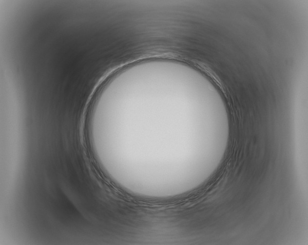 X0000113040579200908271036