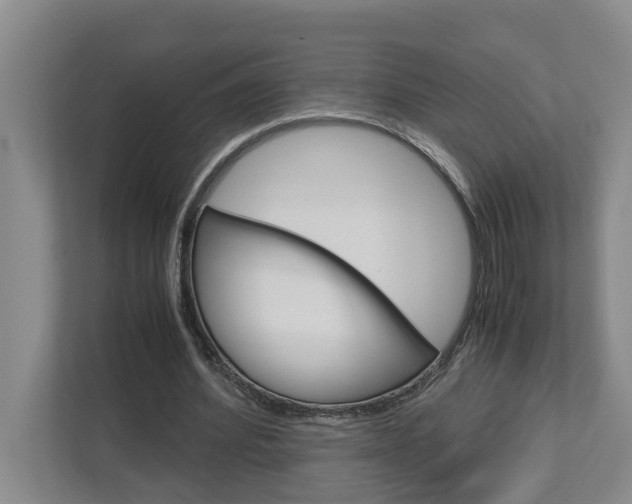 X0000113040580200908271036