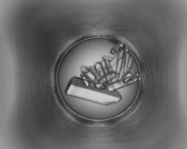 X0000113040581200908271036