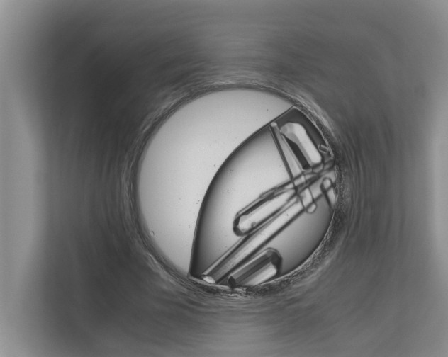 X0000113040585200908271036