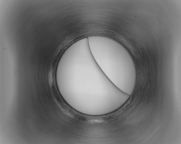 X0000113040586200908271036