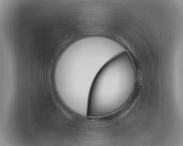 X0000113040589200908271036