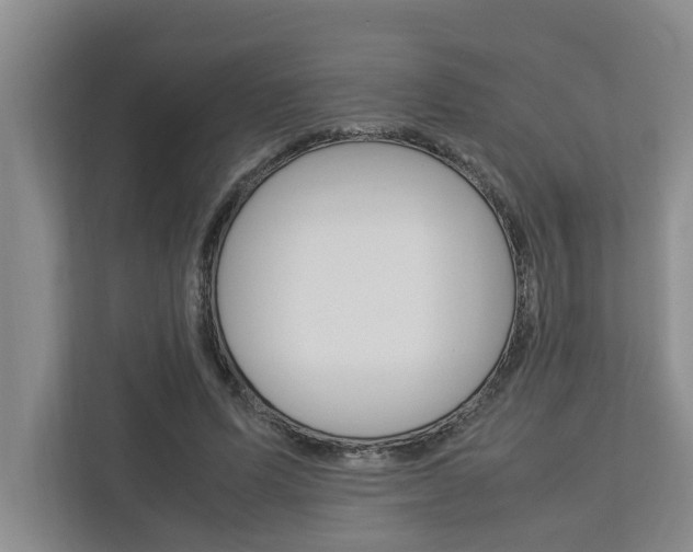 X0000113040591200908271036
