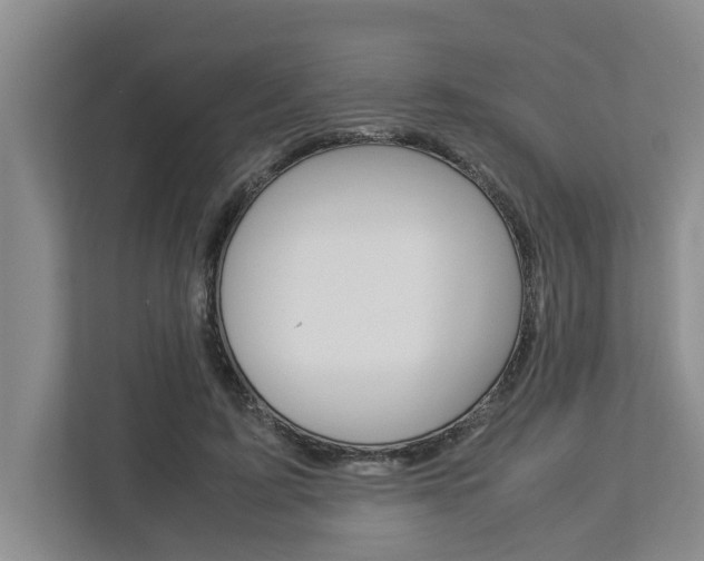 X0000113040595200908271036