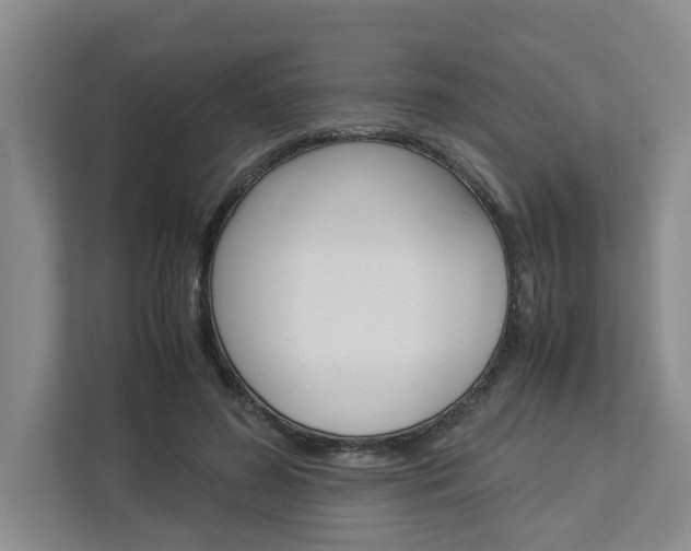 X0000113040596200908271036