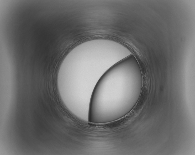 X0000113040597200908271036