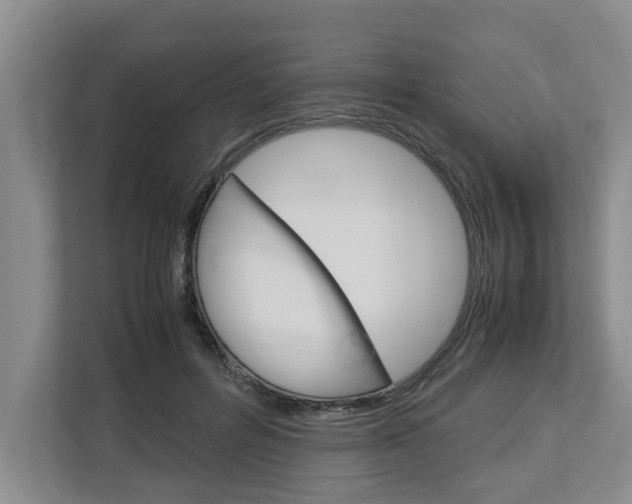 X0000113040600200908271036